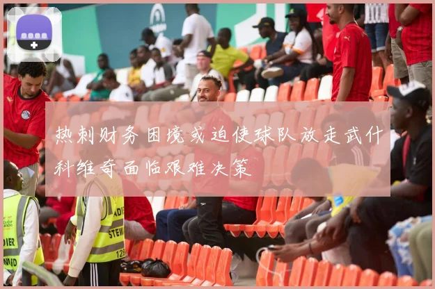 热刺财务困境或迫使球队放走武什科维奇面临艰难决策