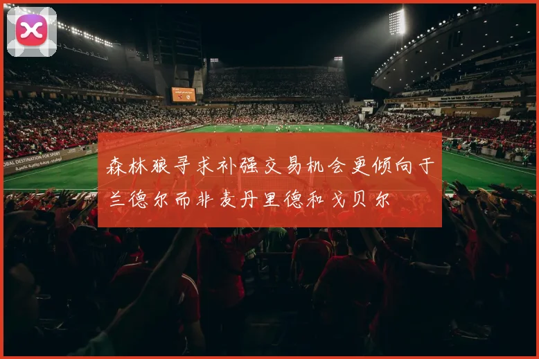 森林狼寻求补强交易机会更倾向于兰德尔而非麦丹里德和戈贝尔