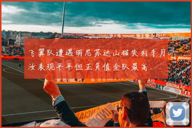 飞翼队遭遇明尼苏达山猫失利李月汝表现平平但正负值全队最高