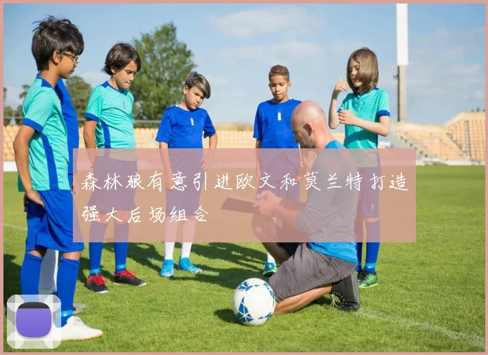 森林狼有意引进欧文和莫兰特打造强大后场组合