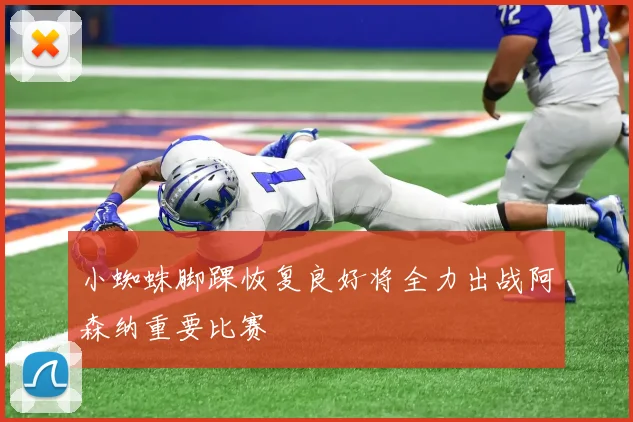 小蜘蛛脚踝恢复良好将全力出战阿森纳重要比赛