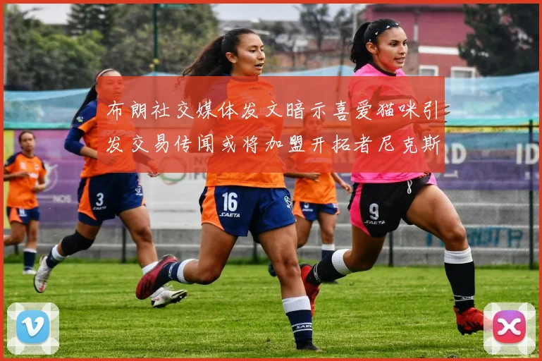 布朗社交媒体发文暗示喜爱猫咪引发交易传闻或将加盟开拓者尼克斯雷霆湖人
